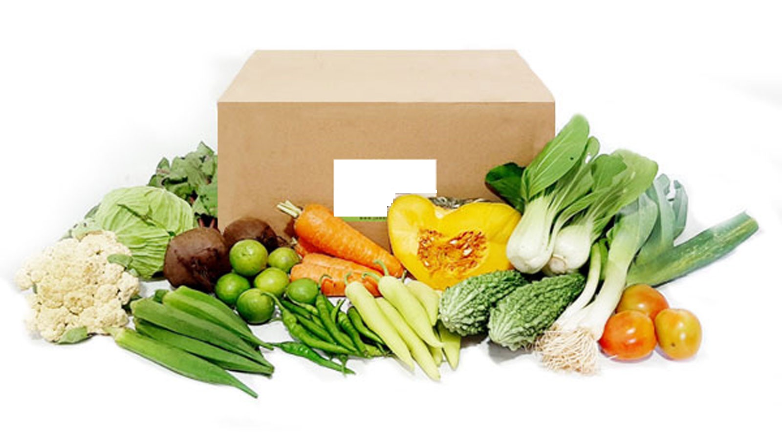 Markets We Serve - Exports